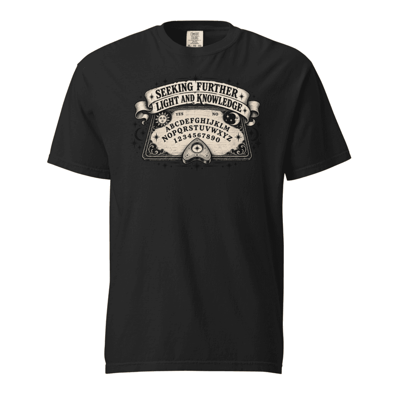 Seeking Further Light and Knowledge Tshirt — Black / S